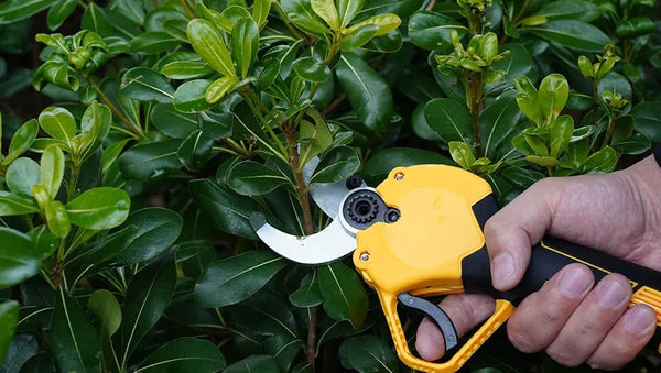 Why Choose Electric Pruning Shears